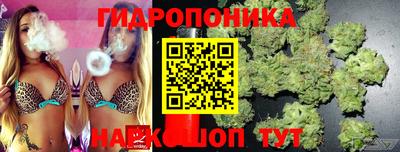 герыч Сланцы