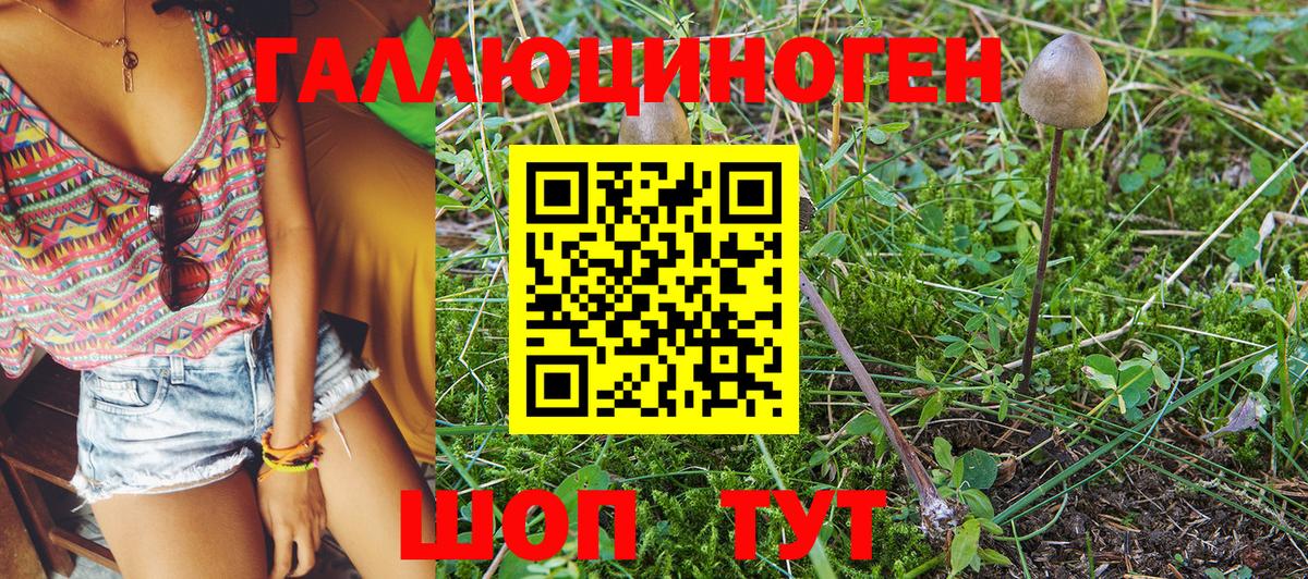 Алапаевск  продажа наркотиков  Вход с VPN  Галлюциногенные грибы Psilocybine cubensis 